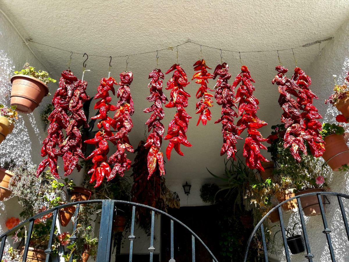 绿色灯泡度假屋 Trevélez 外观 照片